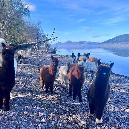 Balachladaich Loch Ness B&B Dores Εξωτερικό φωτογραφία