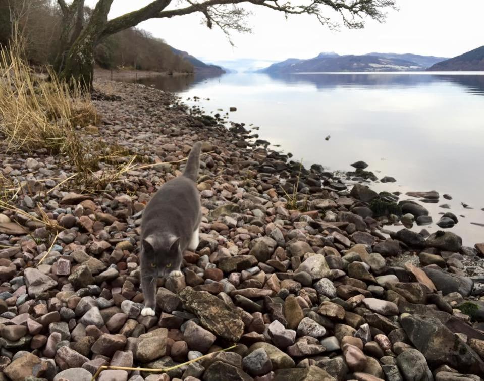 Balachladaich Loch Ness B&B Dores Εξωτερικό φωτογραφία
