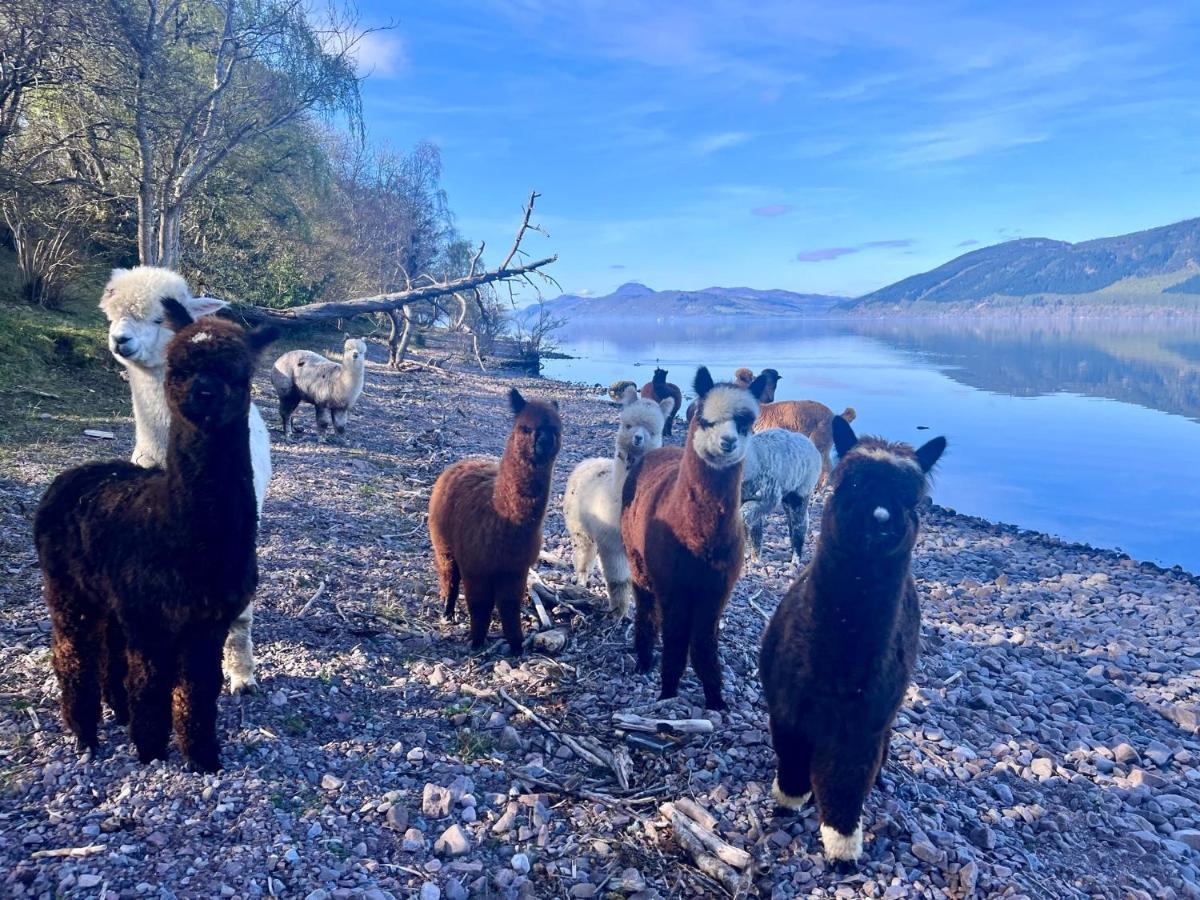 Balachladaich Loch Ness B&B Dores Εξωτερικό φωτογραφία